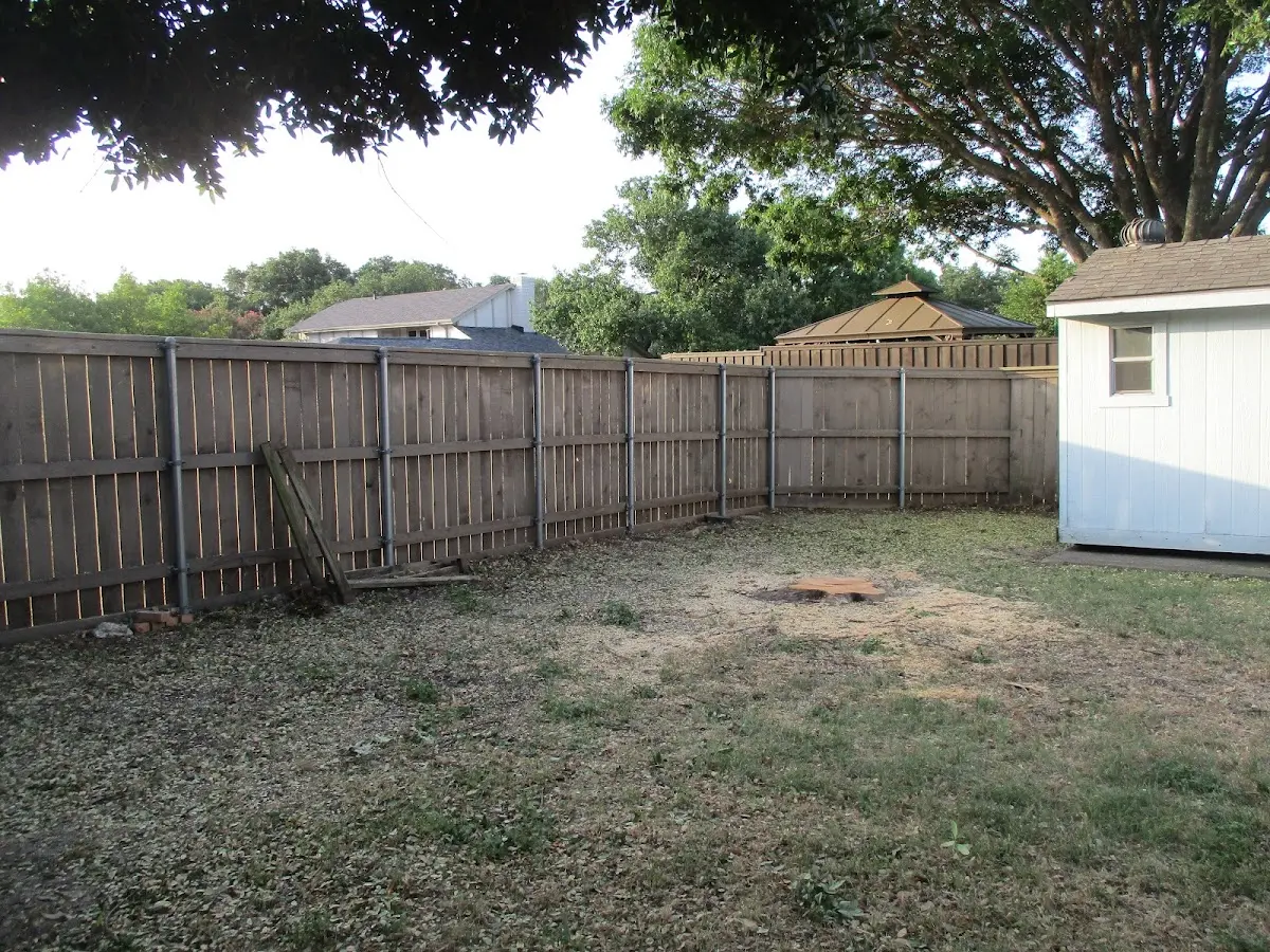 Cleared yard after professional tree removal in Greenwich